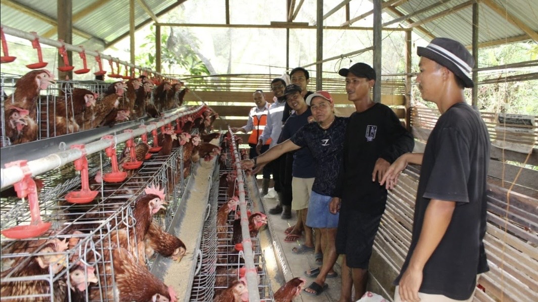Berdayakan Pemuda Kutai Barat, PT TCM Kembangkan Peternakan Ayam dan Pertanian Terpadu