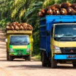 Kontribusi Perusahaan Sawit di PPU Dinilai Belum Maksimal, Belum Sebanding Dengan Dampak Yang Ditimbulkan