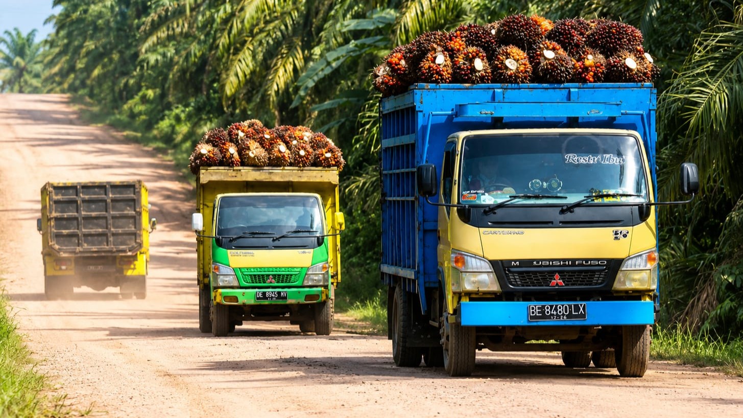 Kontribusi Perusahaan Sawit di PPU Dinilai Belum Maksimal, Belum Sebanding Dengan Dampak&hellip;