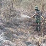 Personil Gabungan Sisir Sisa Bara Api di Titik Lahan Karhutla Bukit Tengkorak IKN