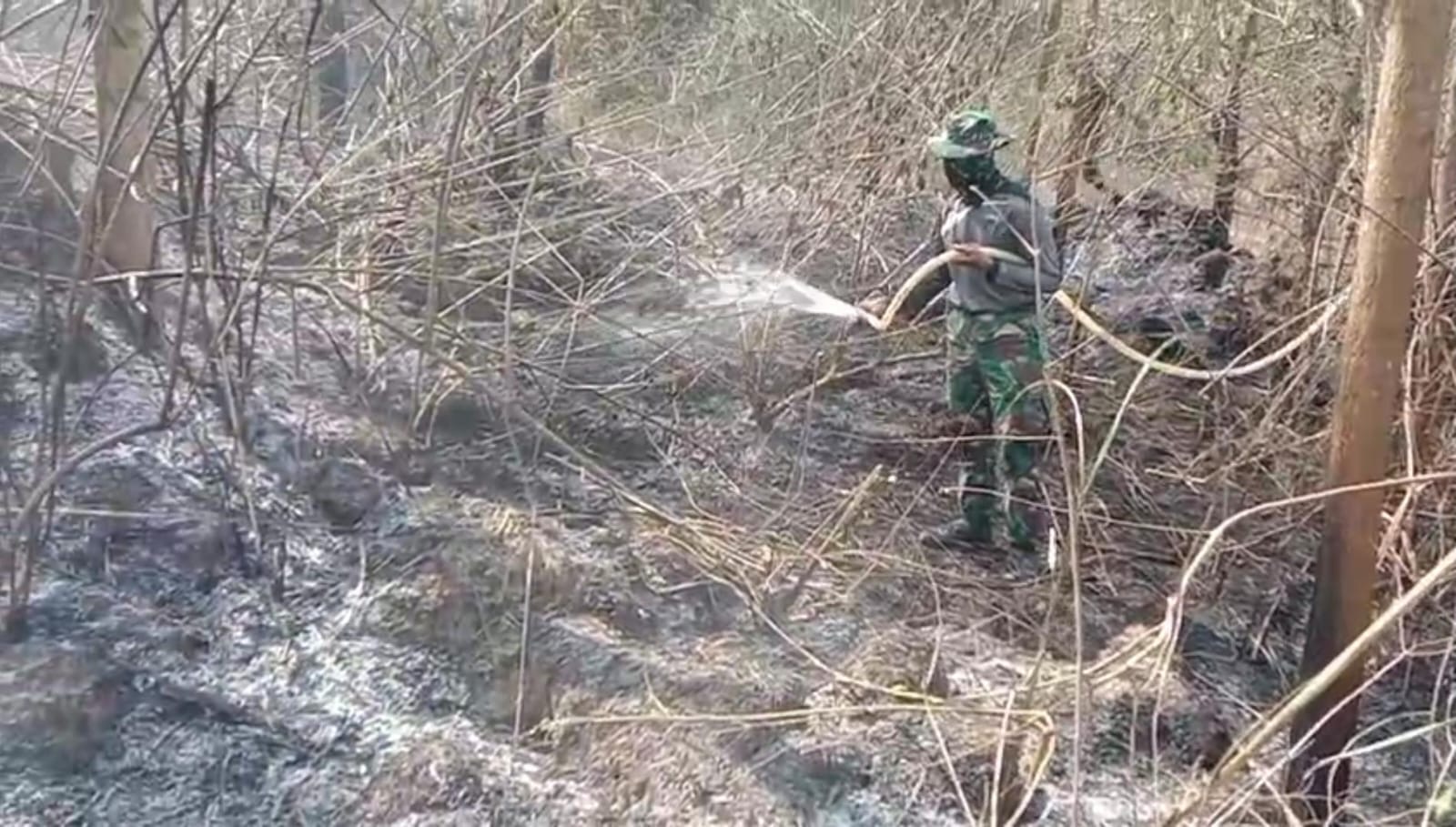 Personil Gabungan Sisir Sisa Bara Api di Titik Lahan Karhutla Bukit Tengkorak…