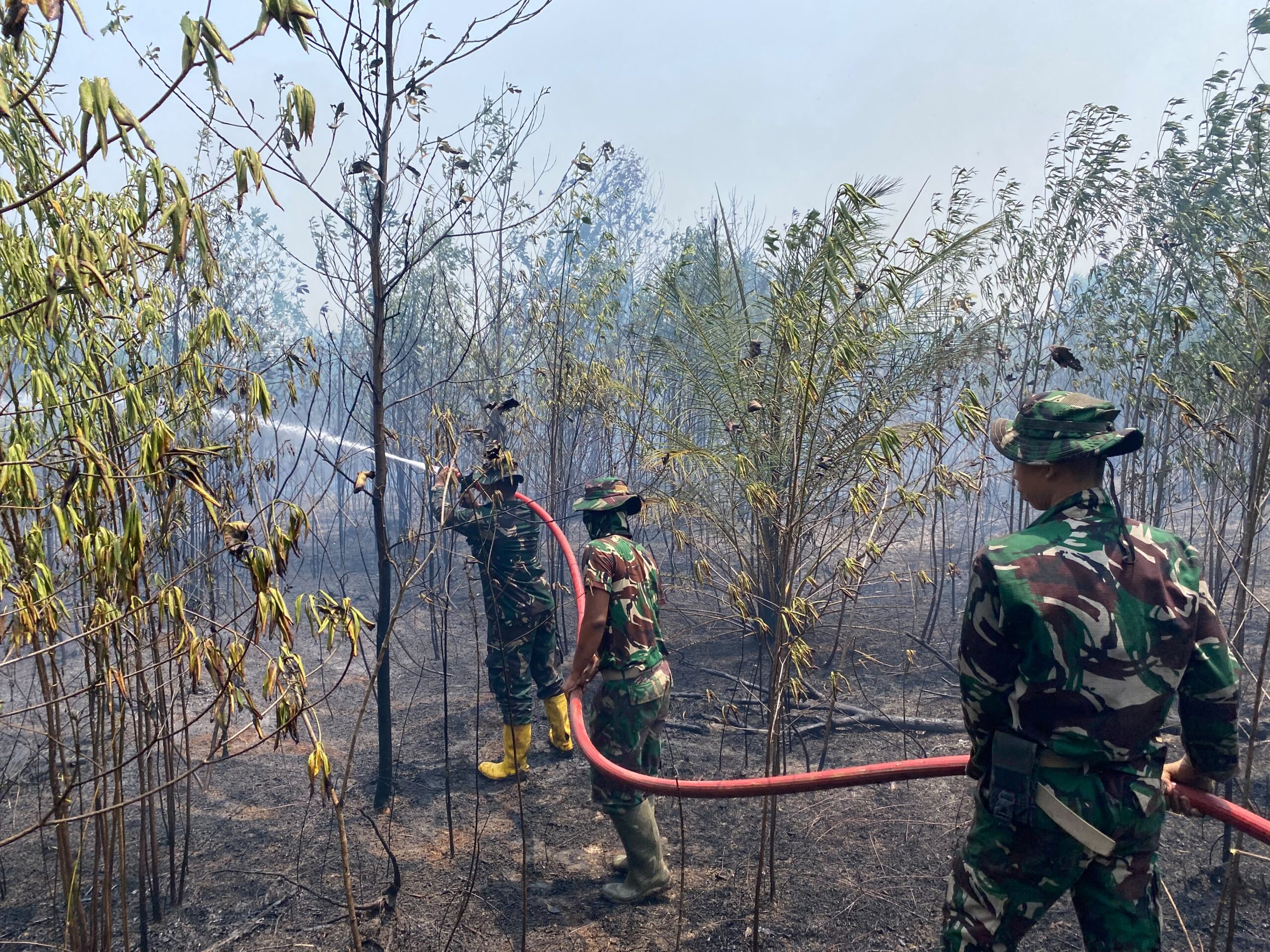 Prajurit Yonif TP 826/BTB Kerahkan Drone dan Armada Pemadam Atasi Karhutla Jenebora